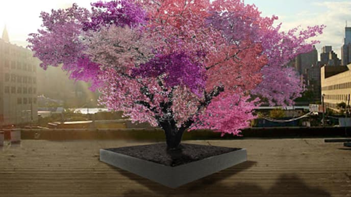 multi-frucht-baum-2079906.jpg