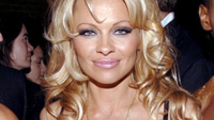 Pamela-Faktor: Die Brüste der Stars