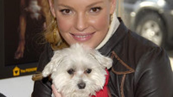 Durch die Jahre mit Katherine Heigl
