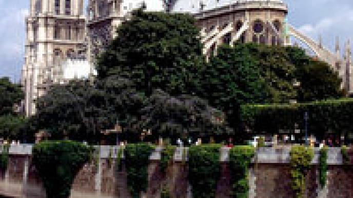 Paris - Stadt der Liebe