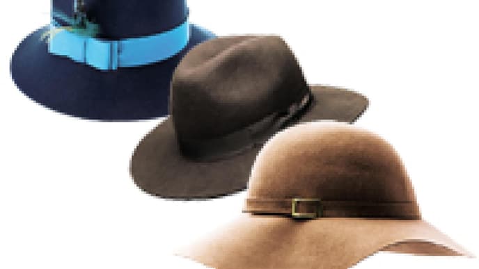 Hut: Der Trend 2012