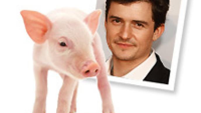 Phobie: Die Ängste der Stars