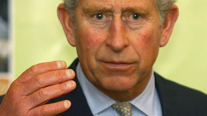 Prinz Charles Ohren