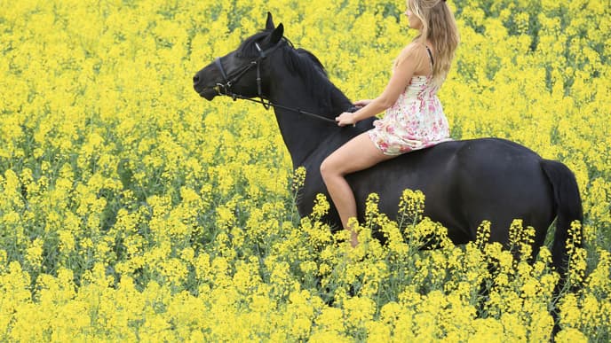 cowgirl ist gefaehrlich beim Sex