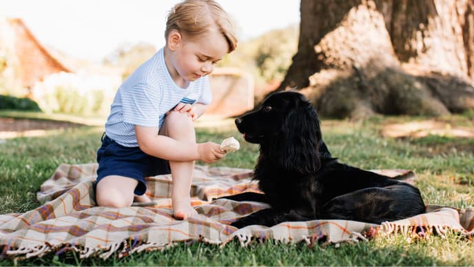 Prinz George - Bilder des Thronfolgers