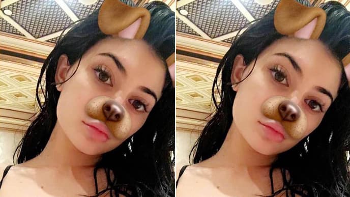 snapchat-hundemaske