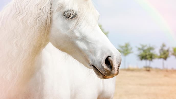 iStock_82151773_XLARGE_geschnitten