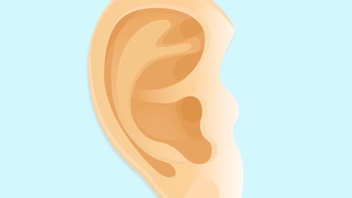 aufmacher-ohr-illus-2000x1500