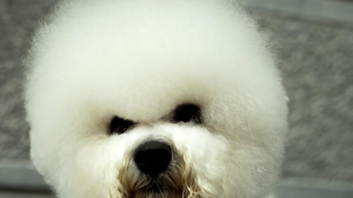 fluffy