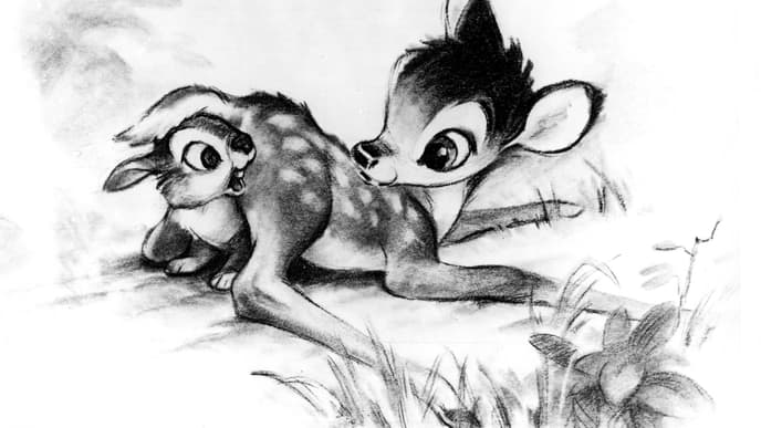 BAmbi