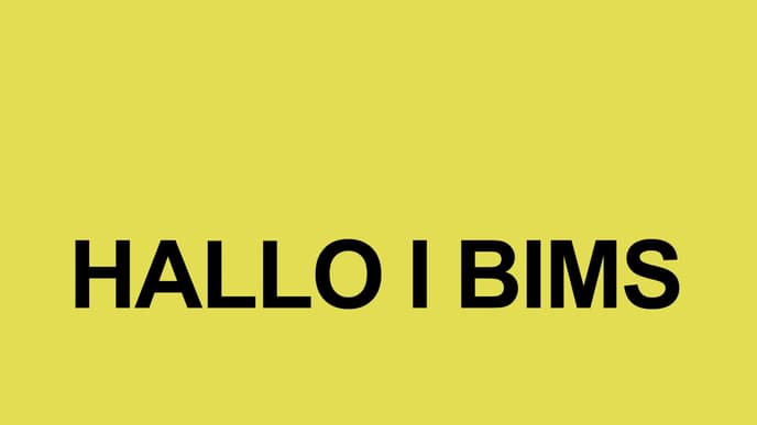 i bims