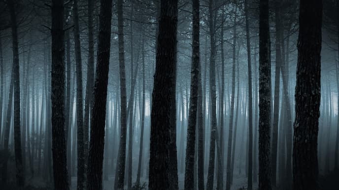 slender man mythos slenderman