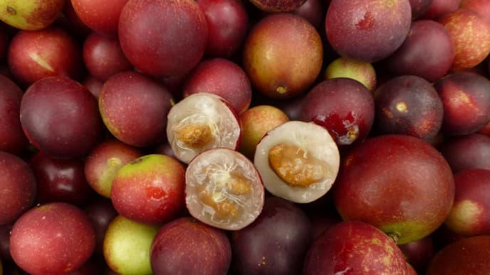 camu-camu