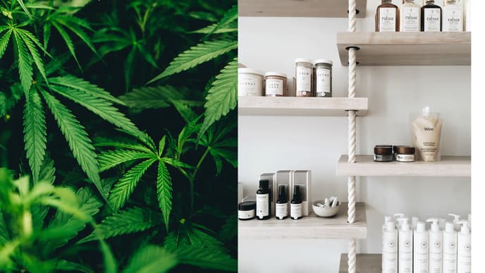 cannabis-beauty