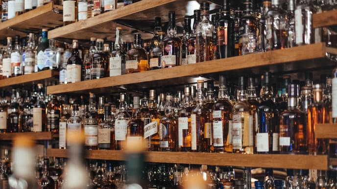 gin-studie