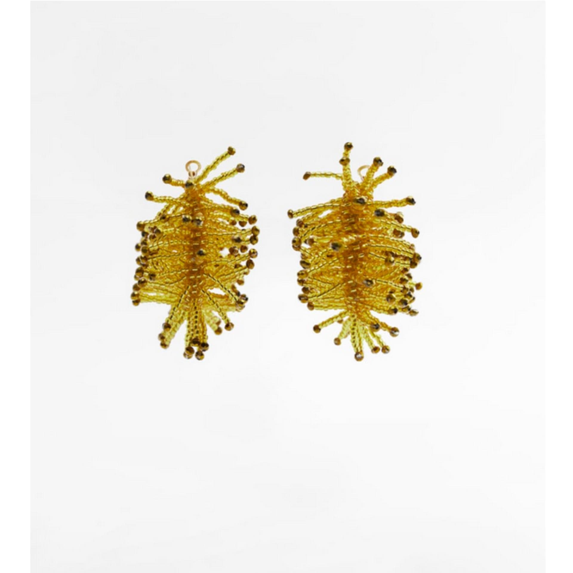 Zara Hoops