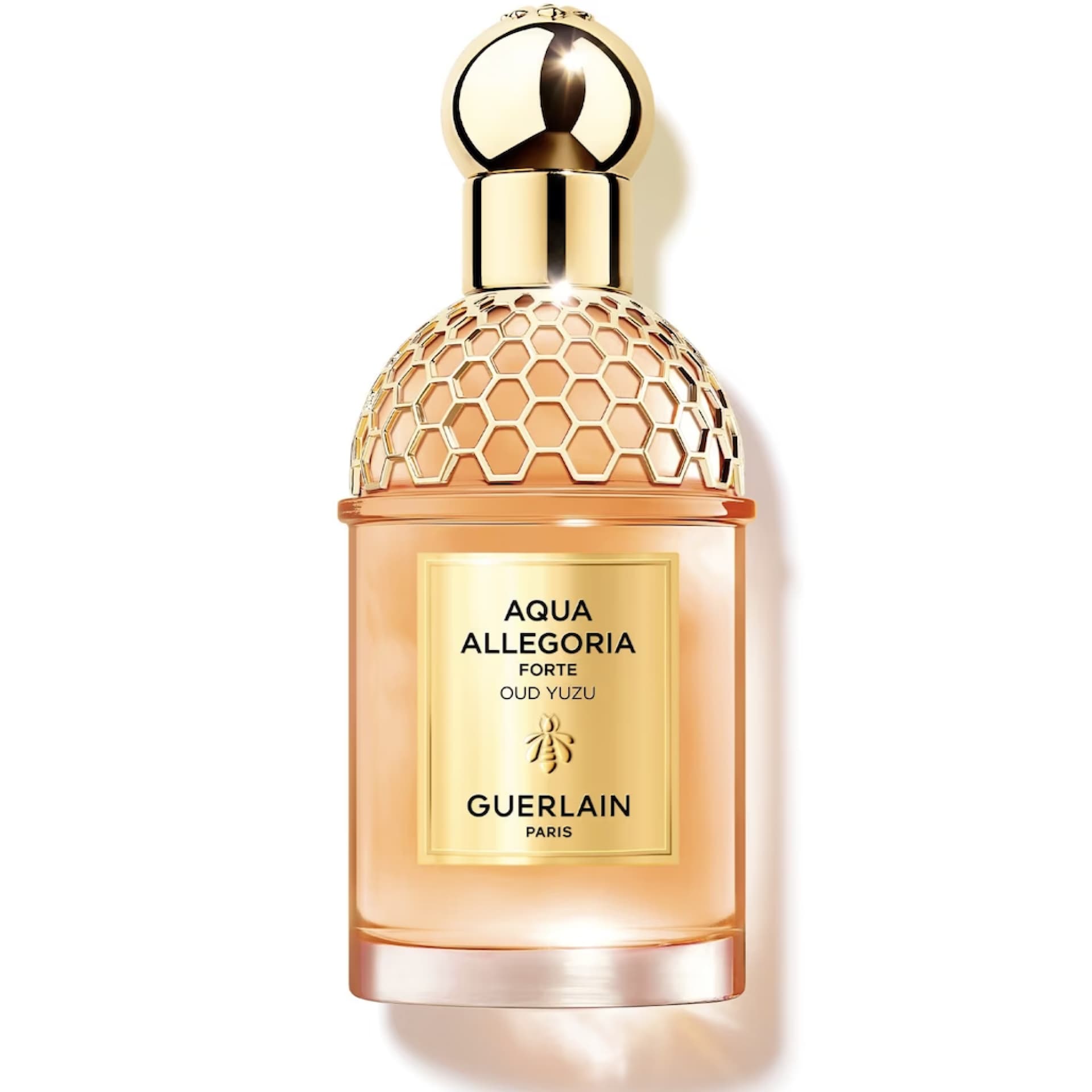 Parfum-Trends