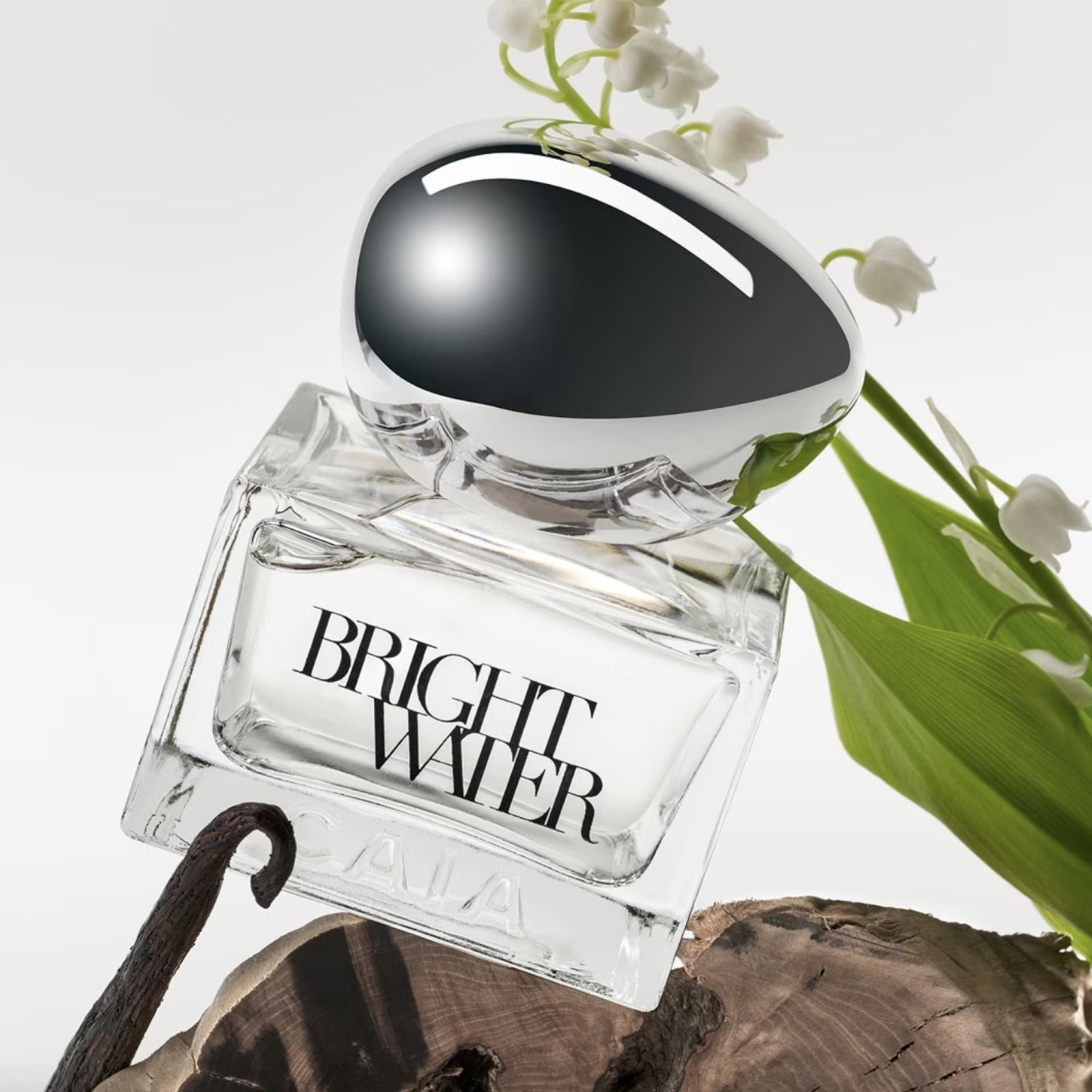 Caia Bright Water Caia Bright Water