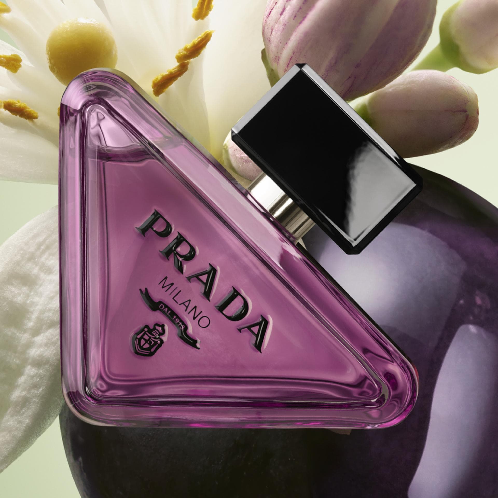 Prada Beauty Paradoxe Sweet Chemistry Parfum Prada Beauty Paradoxe Sweet Chemistry Parfum