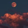 Vollmond 
