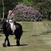Queen auf einem Pferd