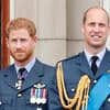 Prinz Harry und Prinz William