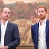 Prinz William und Prinz Harry 