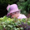 Queen im Garten