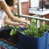 Balkon Pflanzen: Frau auf dem Balkon mit Pflanzen