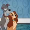 Psychotest: Welcher Disney-Hund bist du?