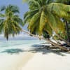 Strand mit Palmen