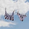 Bikinis auf Wäscheleine