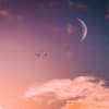 Neumond im August