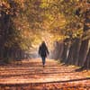 Frau spaziert im herbstlichen Wald