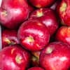 Apfel rot