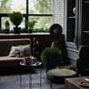 Interior-Trend Winter