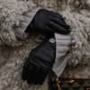 Leder Handschuhe