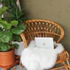 Interior Trends die Out sind