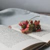 Aufgeklapptes Buch