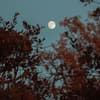 Vollmond Auswirkung 