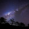 Universum