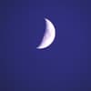 Mond