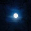 Februar-Vollmond