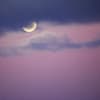 Pink Moon am 13. April: Diese 3 Sternzeichen müssen loslassen