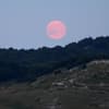 Pink Moon im April: 3 Sternzeichen finden inneren Frieden