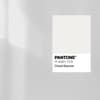 Die Pantone Colour of the Year 2026 ist ein helles Grau. Graue Wand mit der Pantone Colour of the Year 2026 darauf.