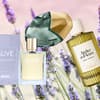 Lavendel Parfums