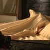 breaking-dawn-backstage-video-480x270-1312096.jpg