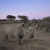 namibia-520x390-1334966.jpg
