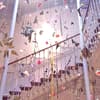thumb_IMG_2711_1024_bearbeitet